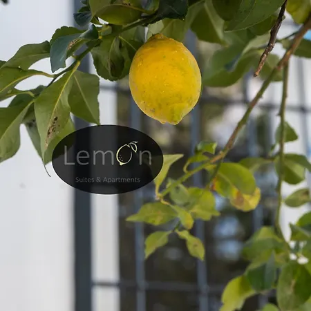 Lemon * Rom