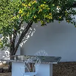 Lemon * Rzym